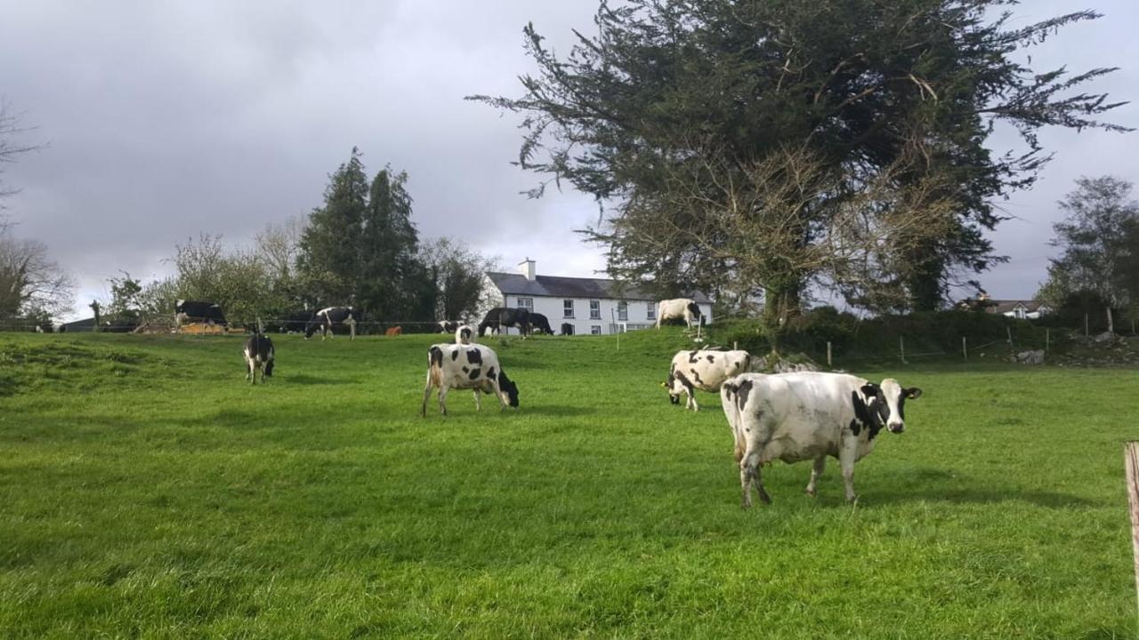 Gortamullen House, Kenmare Bed & Breakfast Luaran gambar
